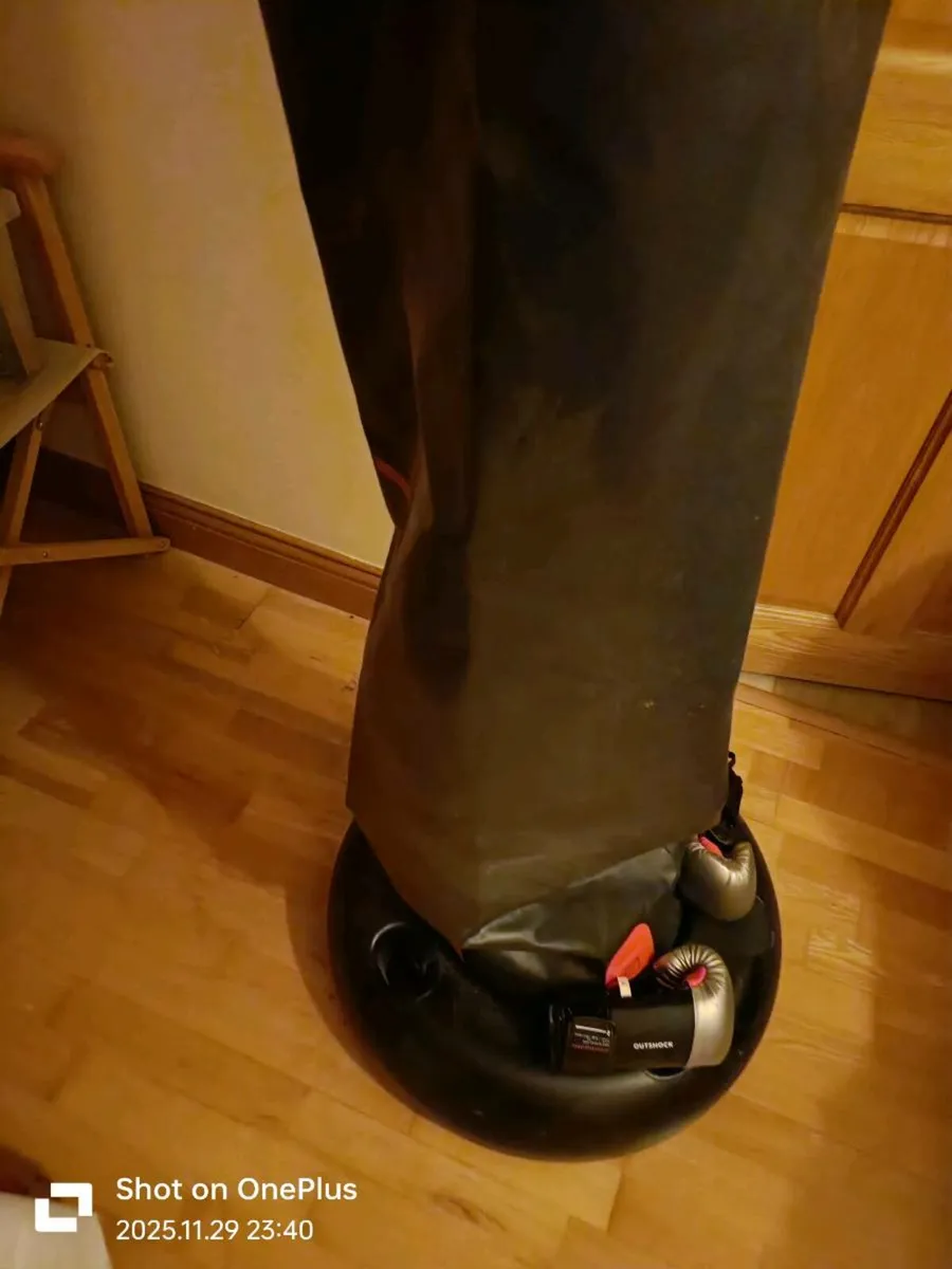 Freestanding punching bag - Image 1