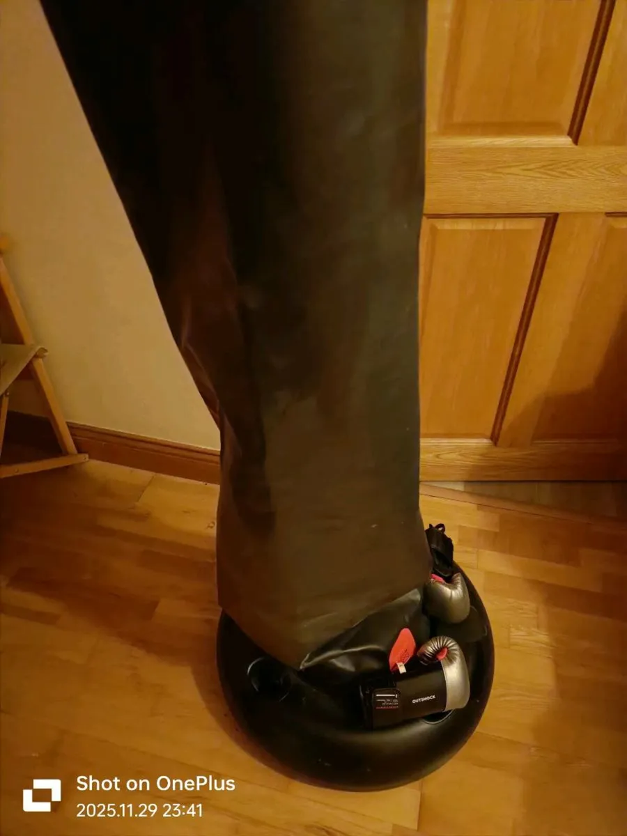 Freestanding punching bag - Image 2