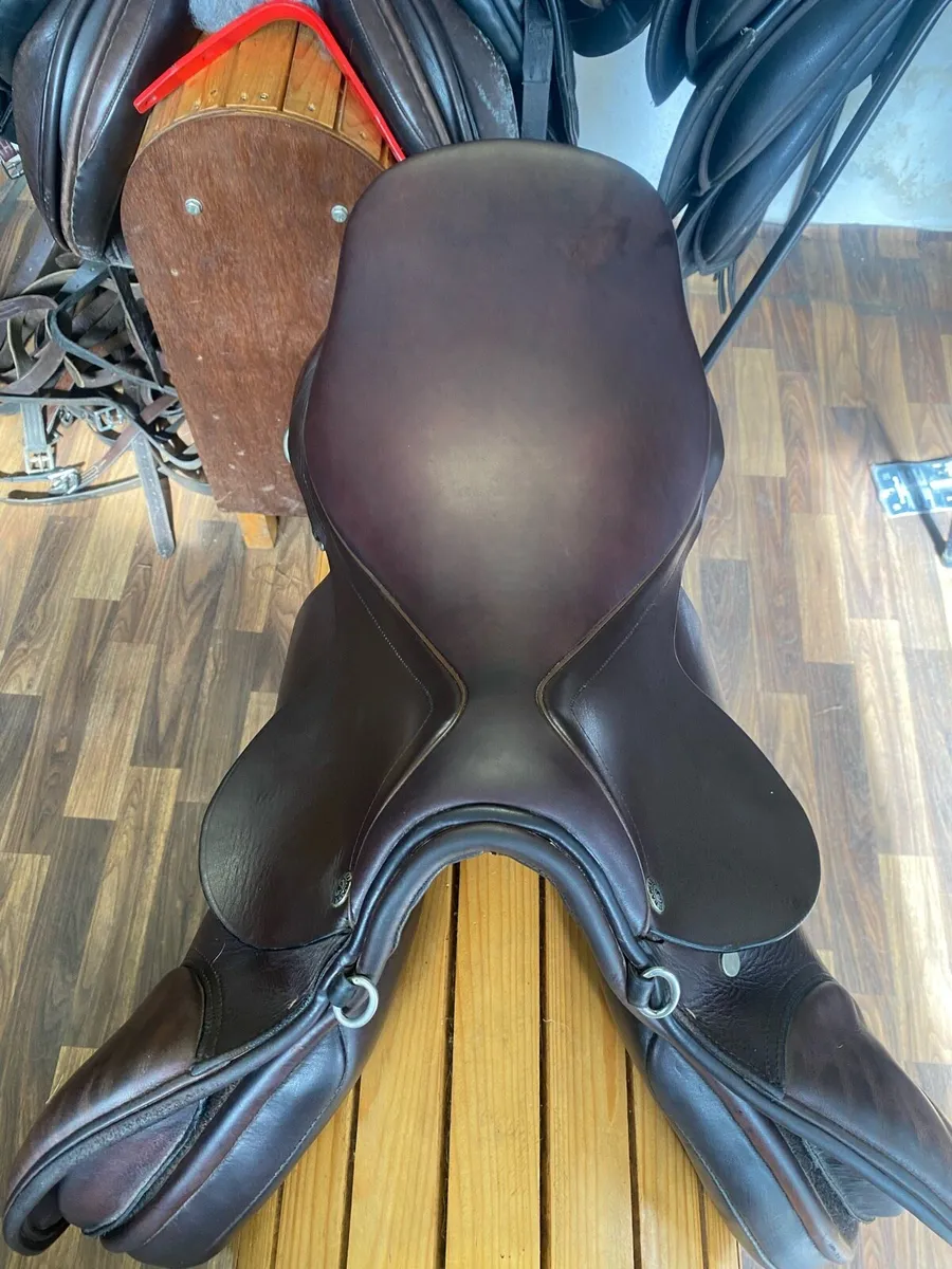 St Raphael sellier jump saddle 18” - Image 3