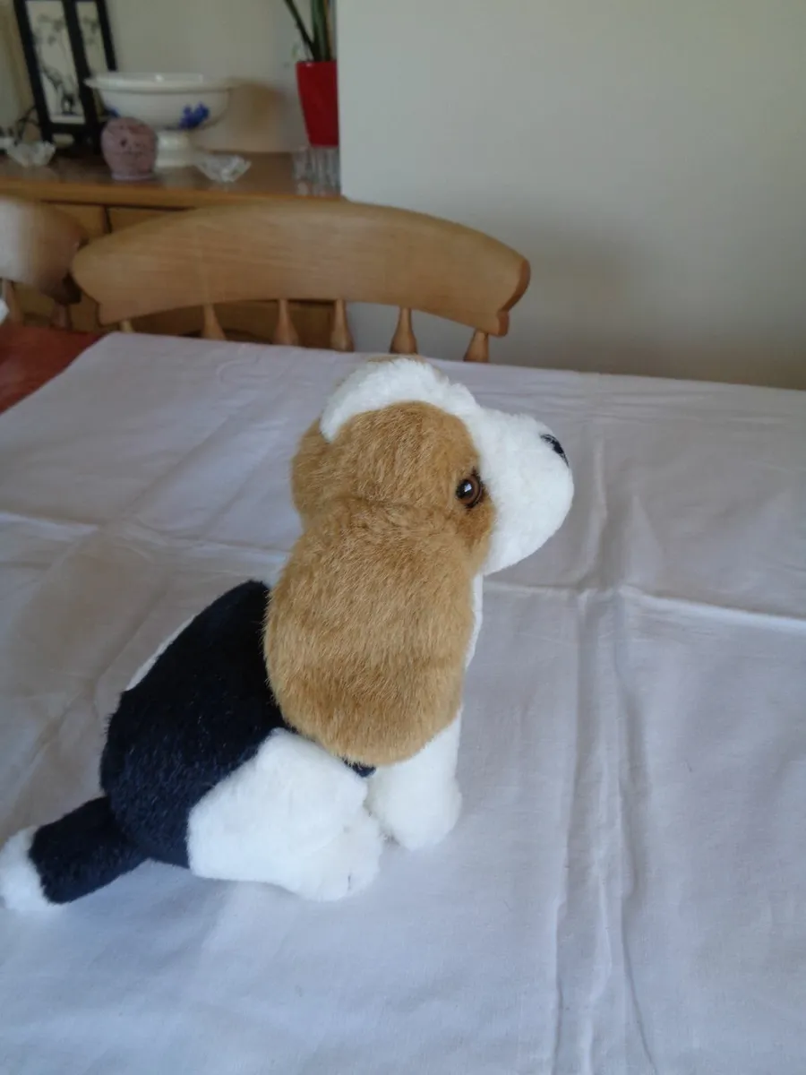 Cuddly Dog for Sale - Image 2