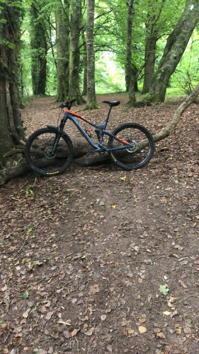 vitus escarpe - Image 3