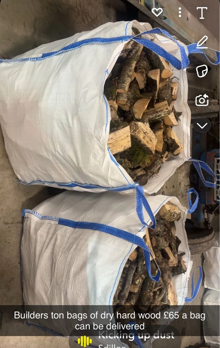 Fire wood hard wood - Image 1