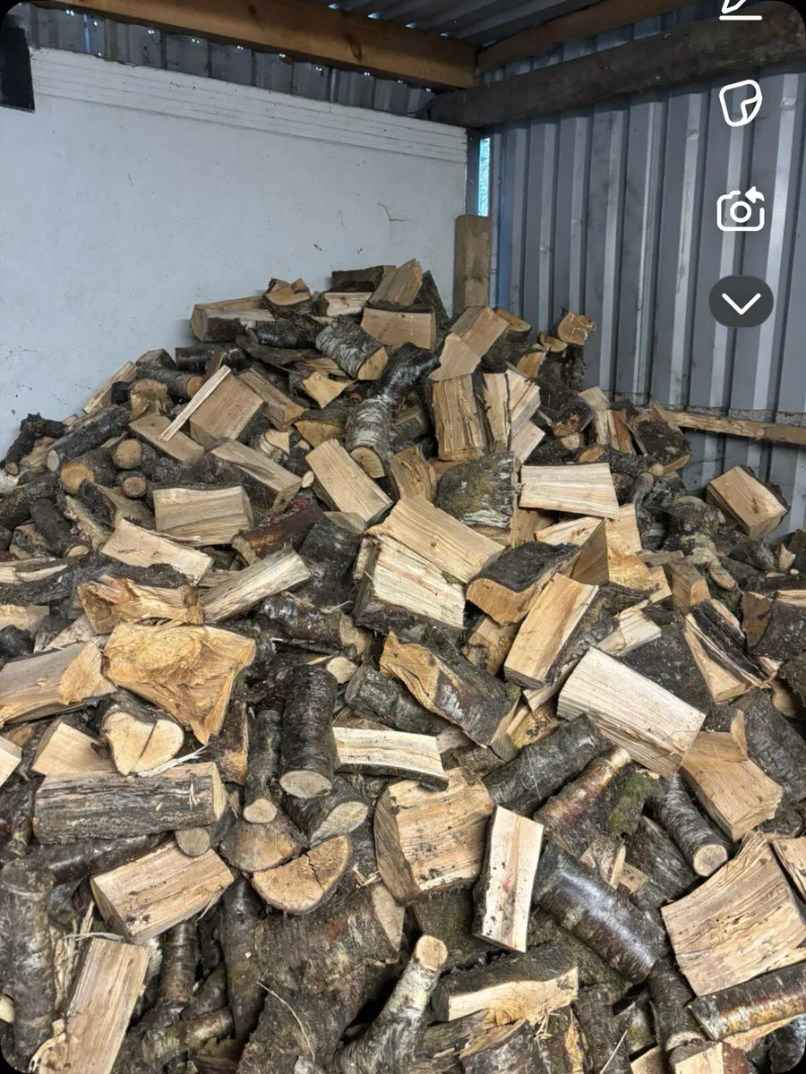 Fire wood hard wood - Image 2