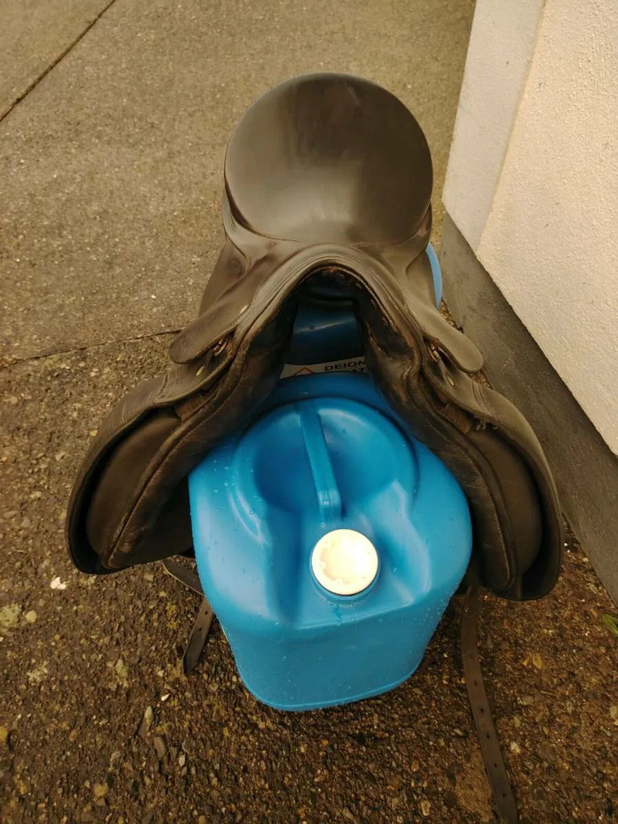 Passier Grand Gilbert - Image 2