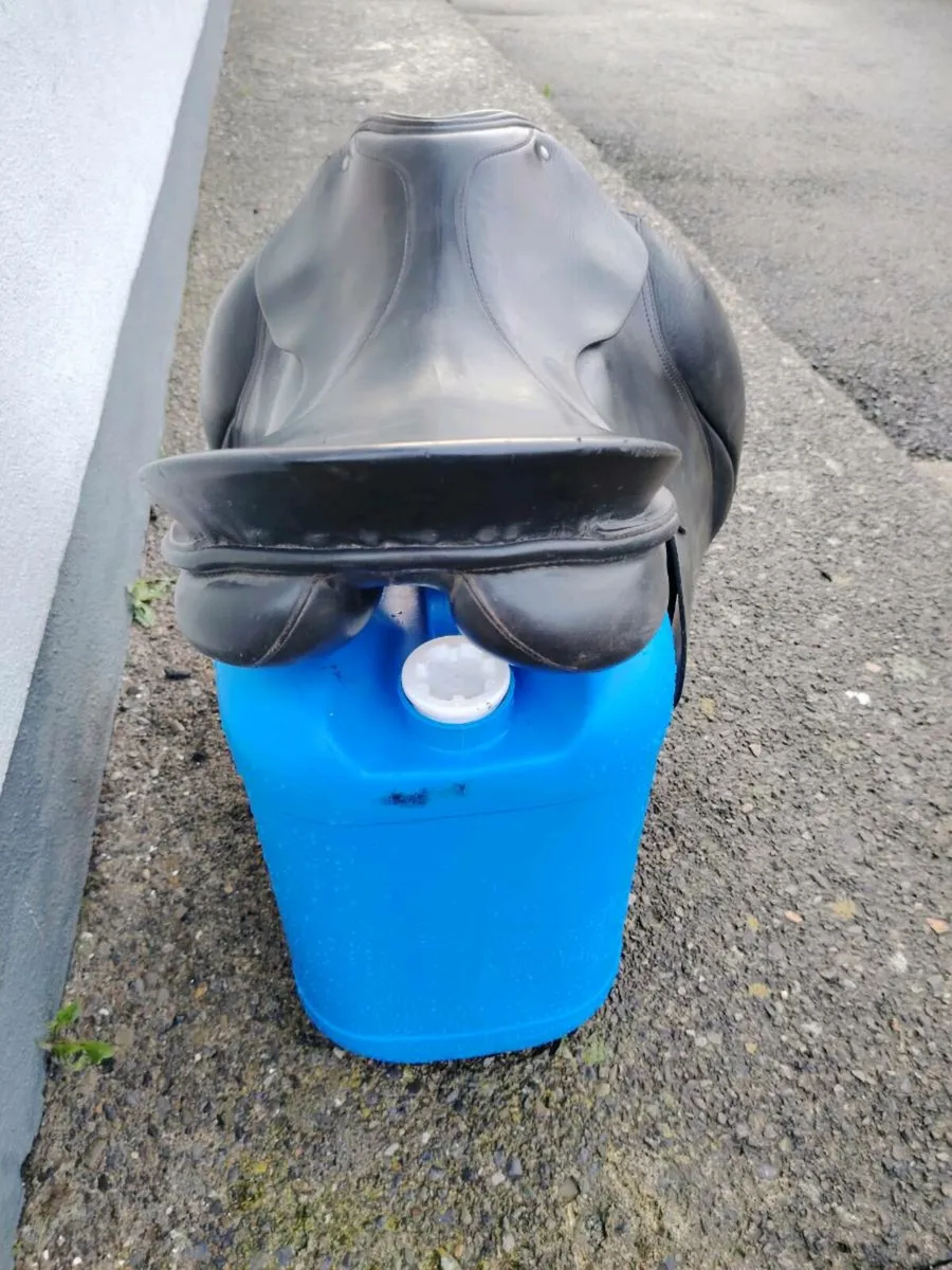 Passier Grand Gilbert - Image 3