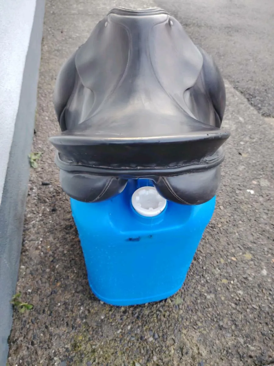 Passier Grand Gilbert - Image 4