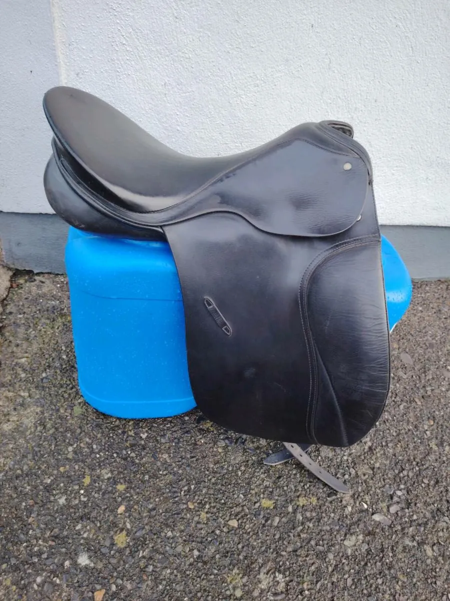 Passier Grand Gilbert - Image 1