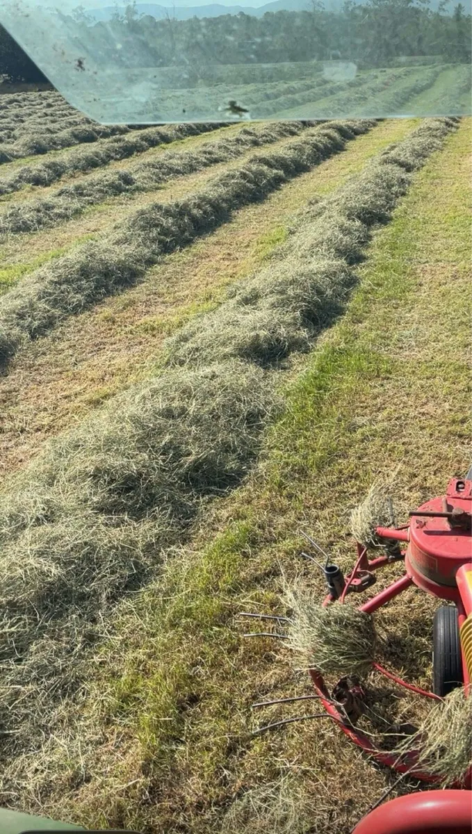 Quality square bales of Hay - Image 2