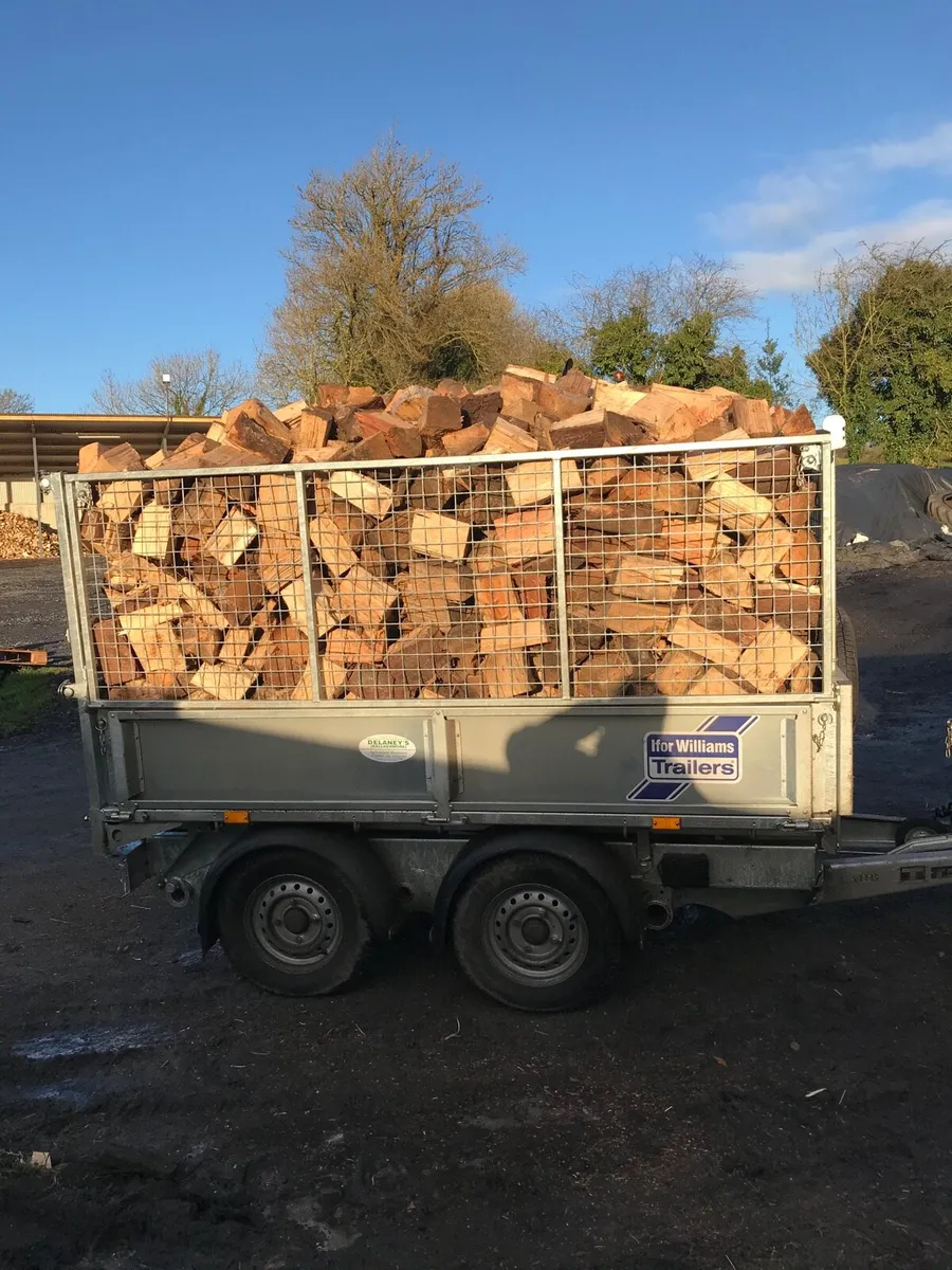 Firewood hardwood - Image 1