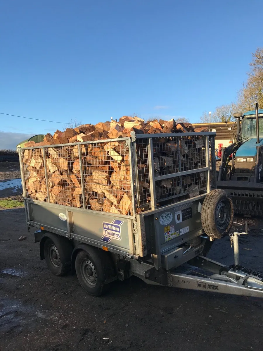 Firewood hardwood - Image 2