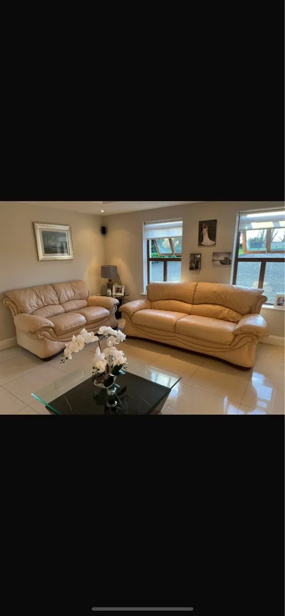 Three and Two Seater Sofas - Image 1
