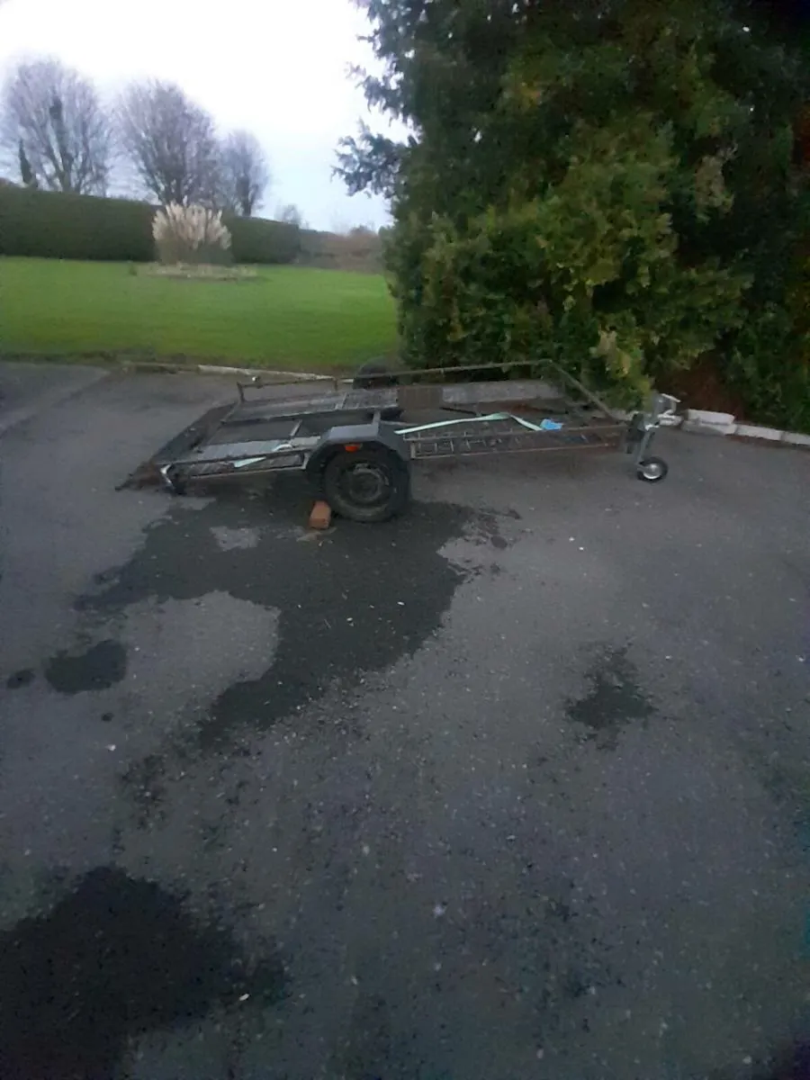 Buggy trailer - Image 2