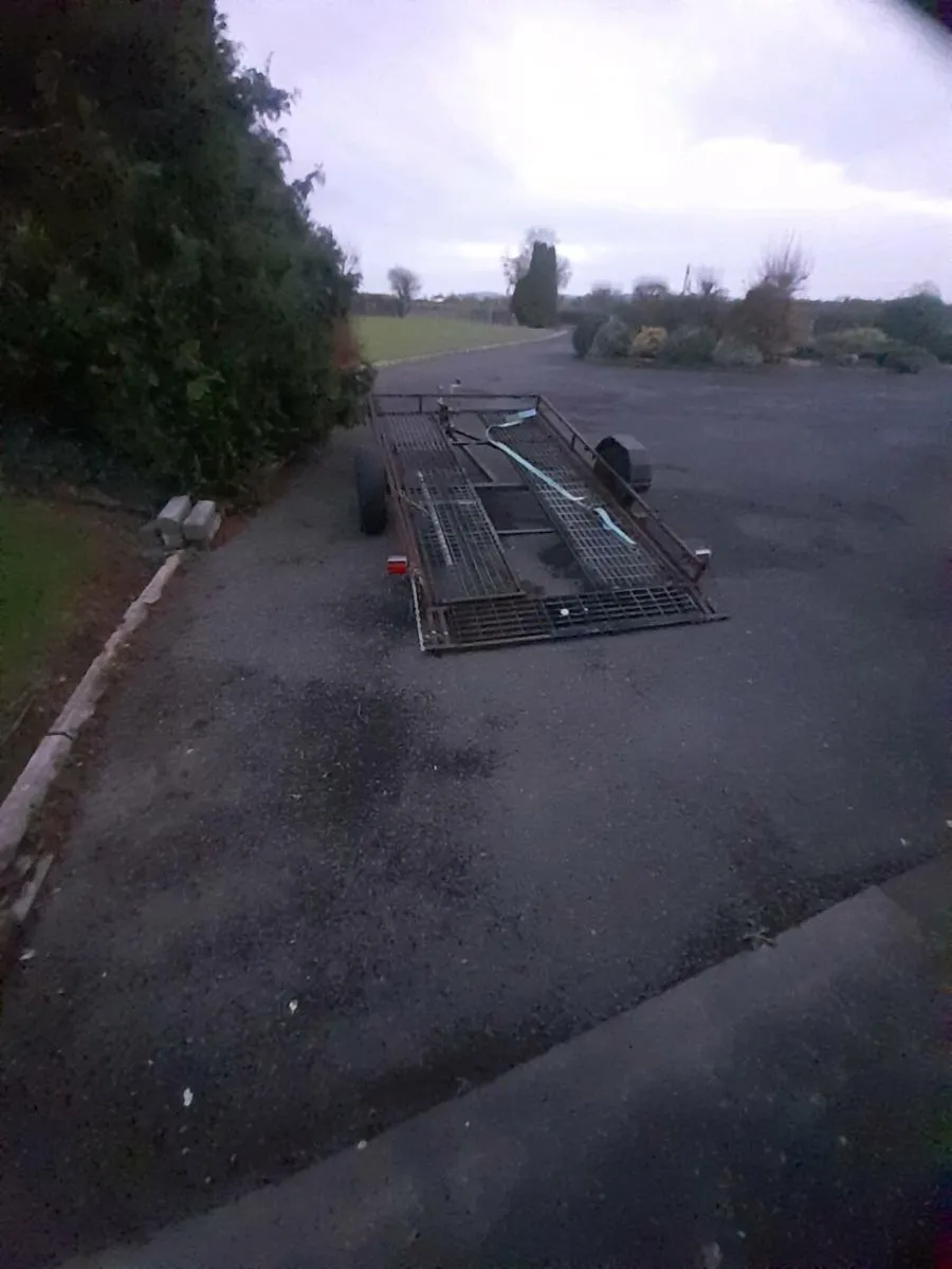 Buggy trailer - Image 3