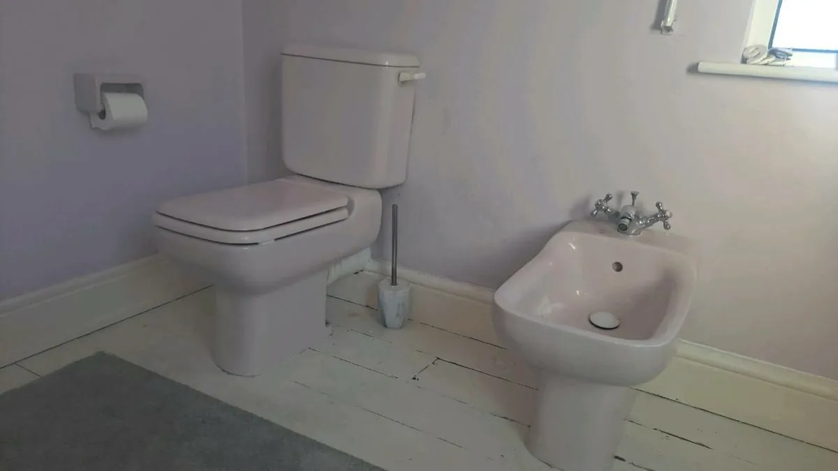 retro bathroom - Image 1