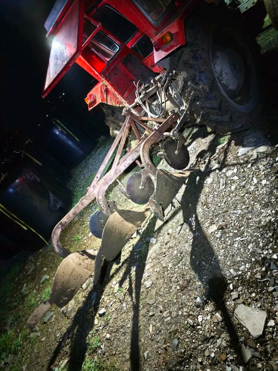 Shed clear out - Image 1