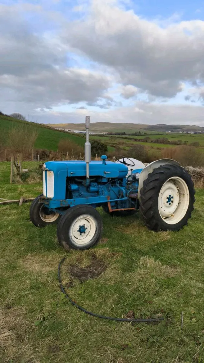 Shed clear out - Image 1