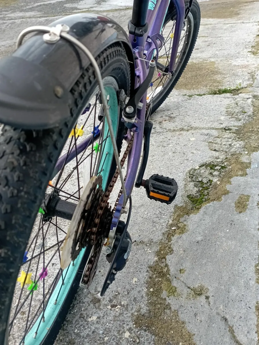 Trek Wahoo 20" bike - Image 3