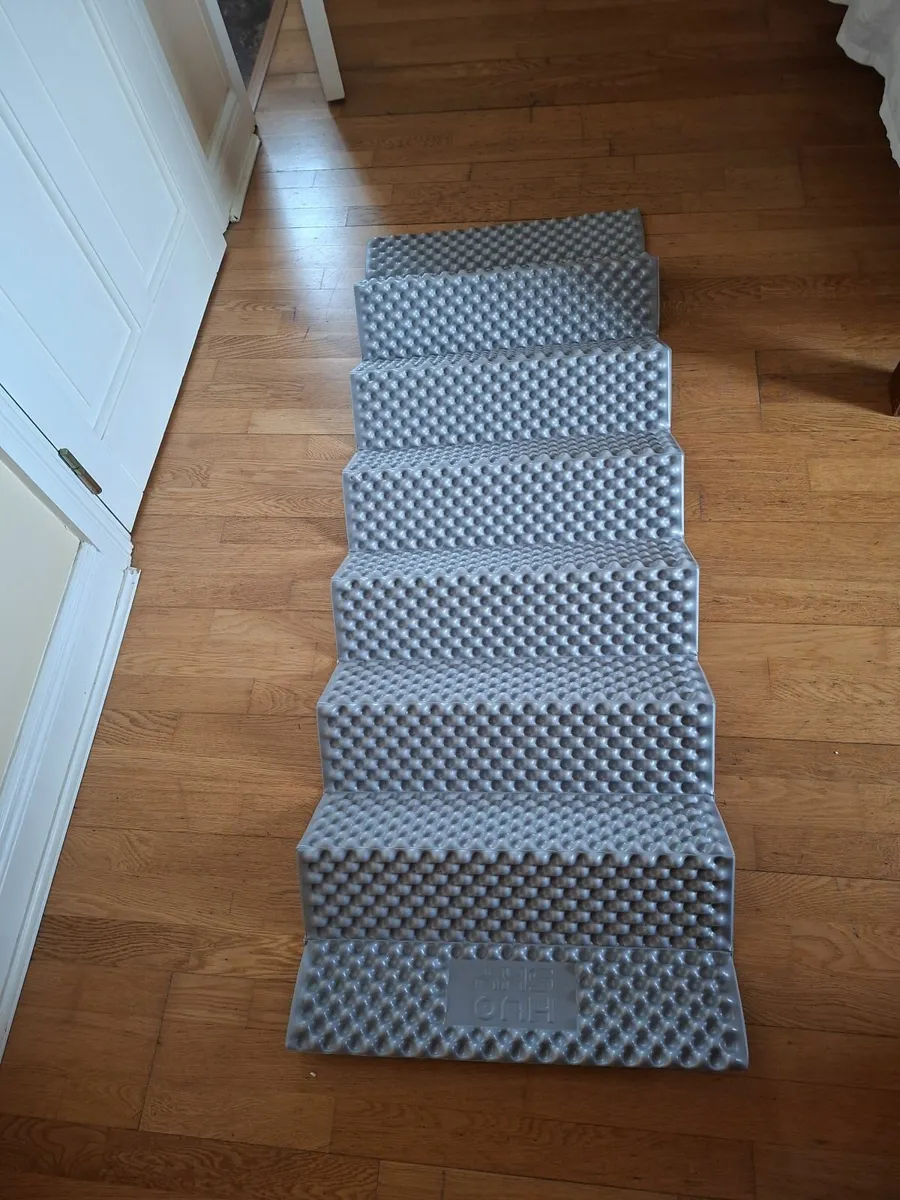 Two foam sleeping mats.