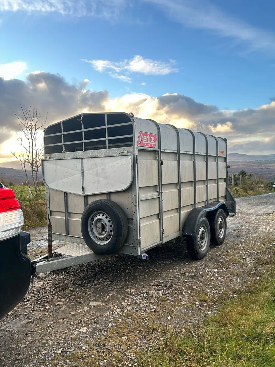 12 x6 cattle trailer - Image 1