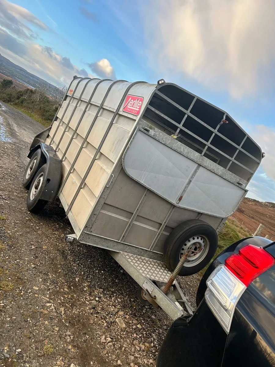 12 x6 cattle trailer - Image 2