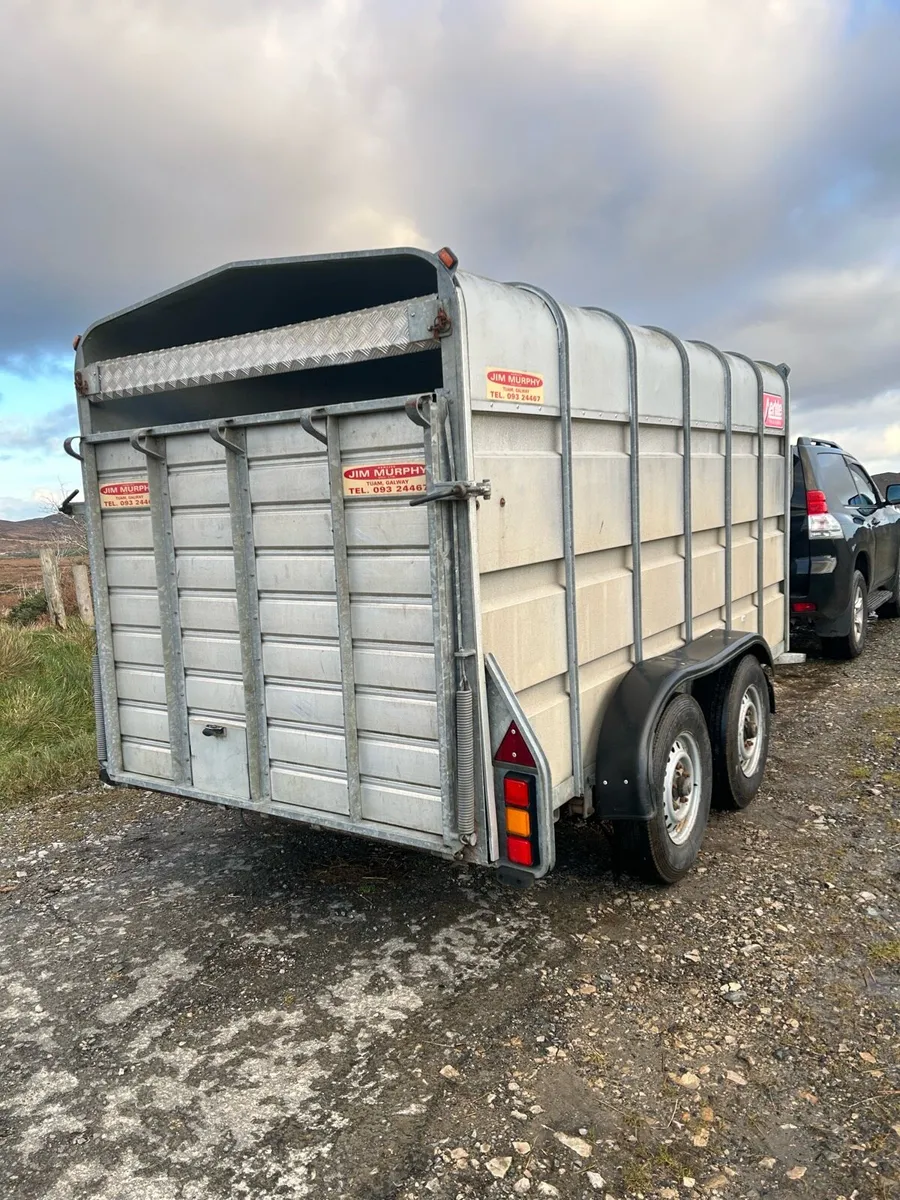 12 x6 cattle trailer - Image 3