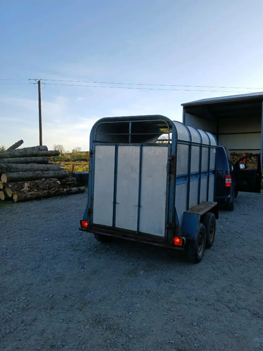 8" x 4"6 cattle trailer - Image 2