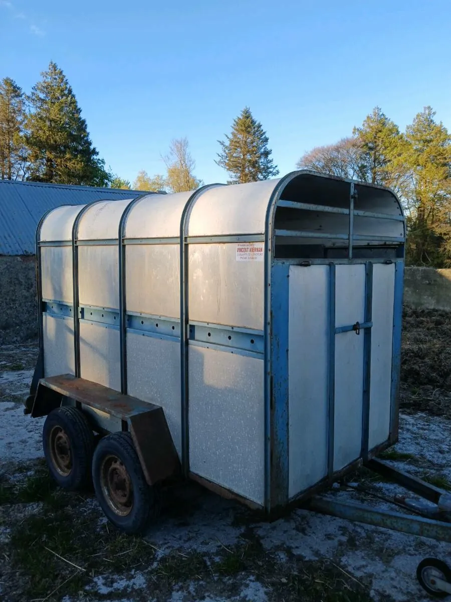 8" x 4"6 cattle trailer - Image 1