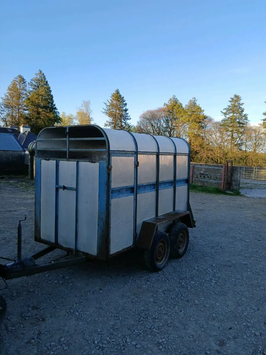 8" x 4"6 cattle trailer - Image 3