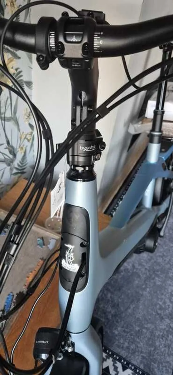 Electric Bicycle - Image 4