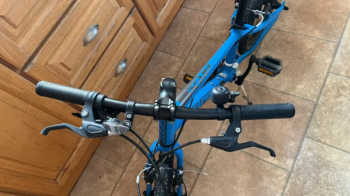 Giant ARX20 20" Kids Bike - Image 2