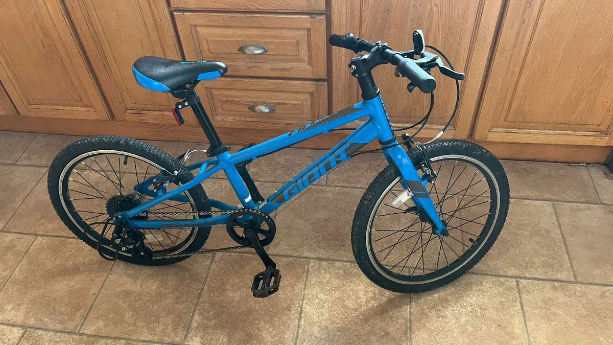 Giant ARX20 20" Kids Bike - Image 1