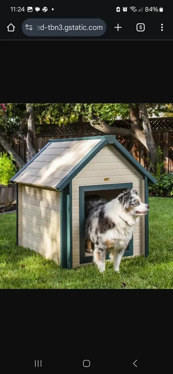 Dog house - Image 3