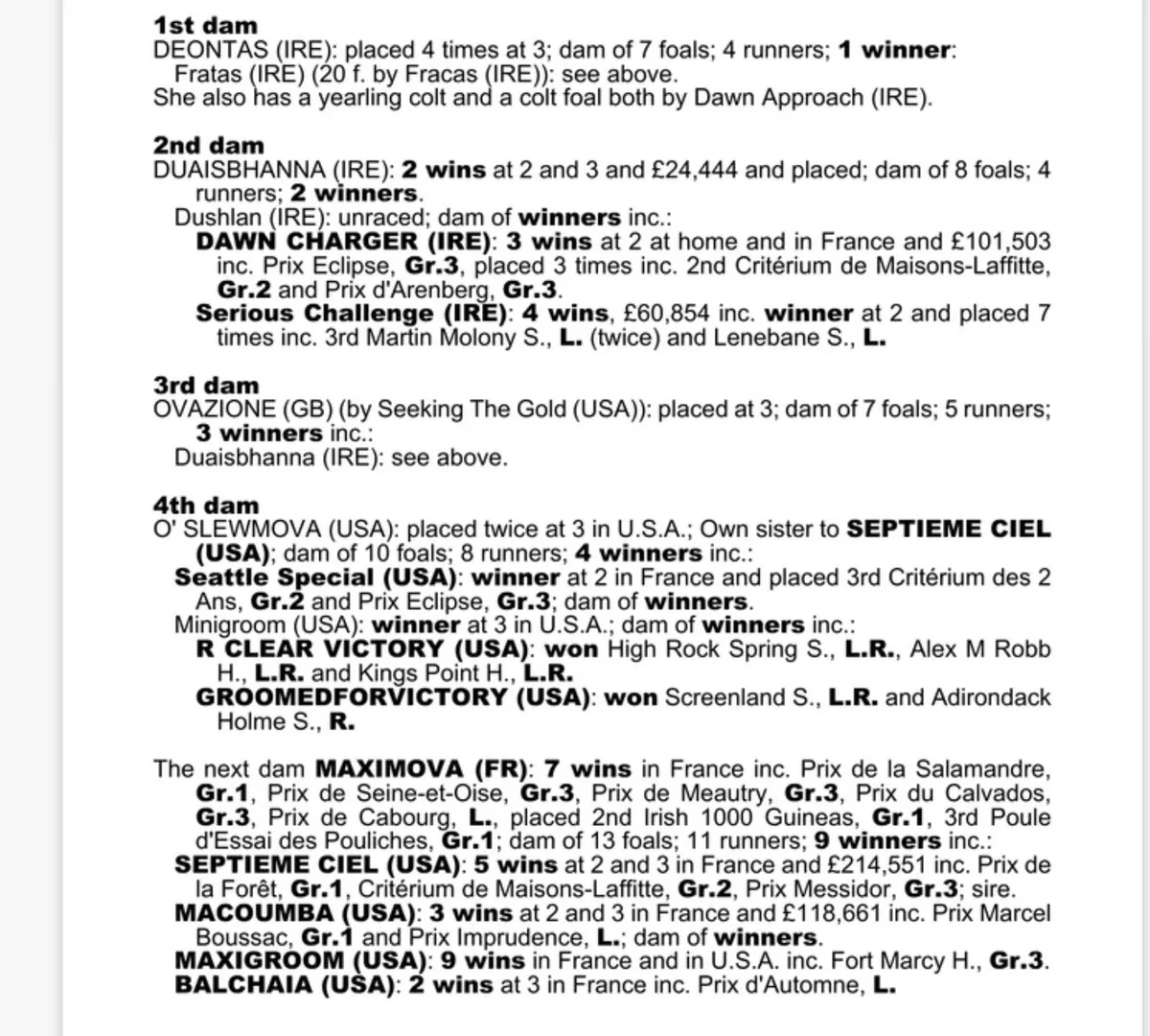 Broodmares in foal - Image 2