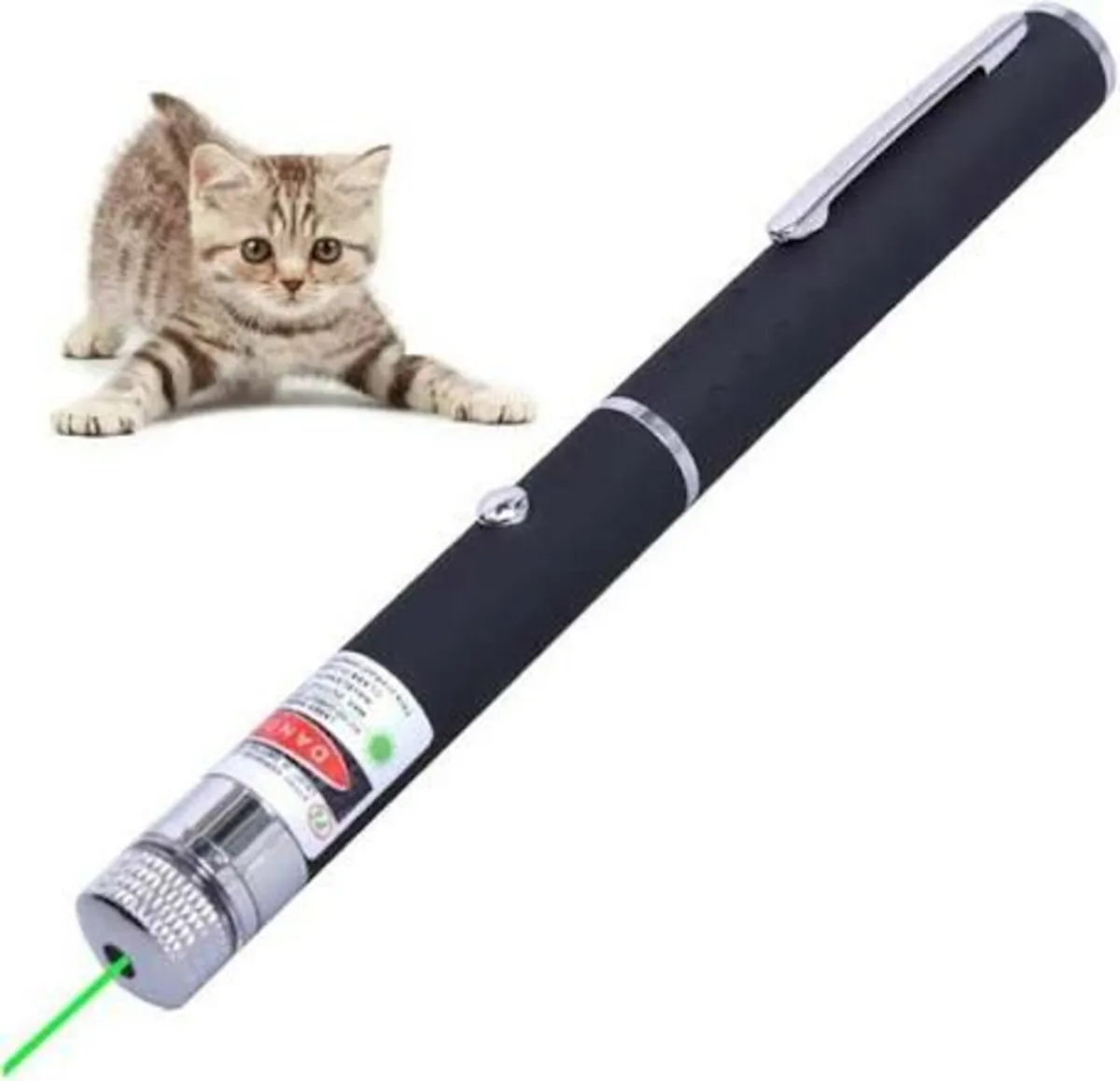 Green Laser Pointer