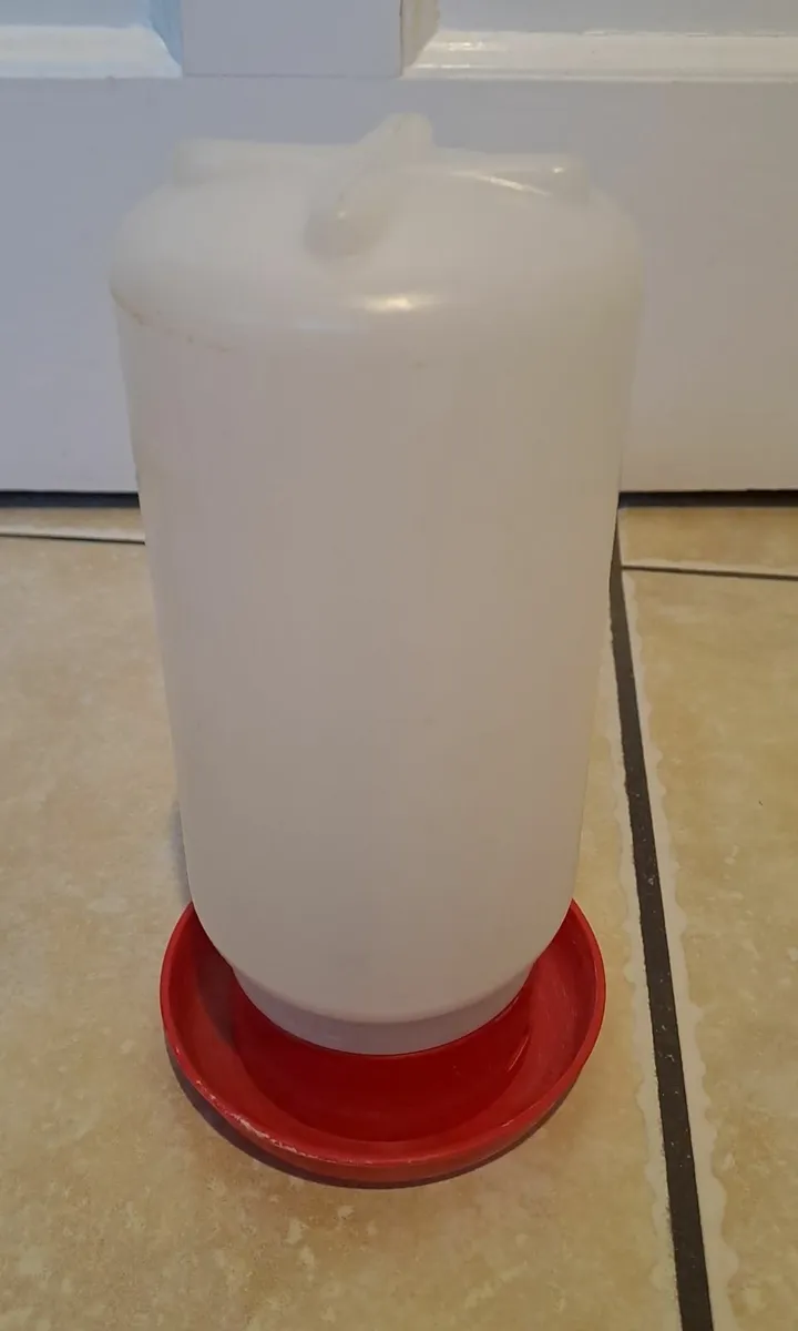Feeder for chickens - Image 4