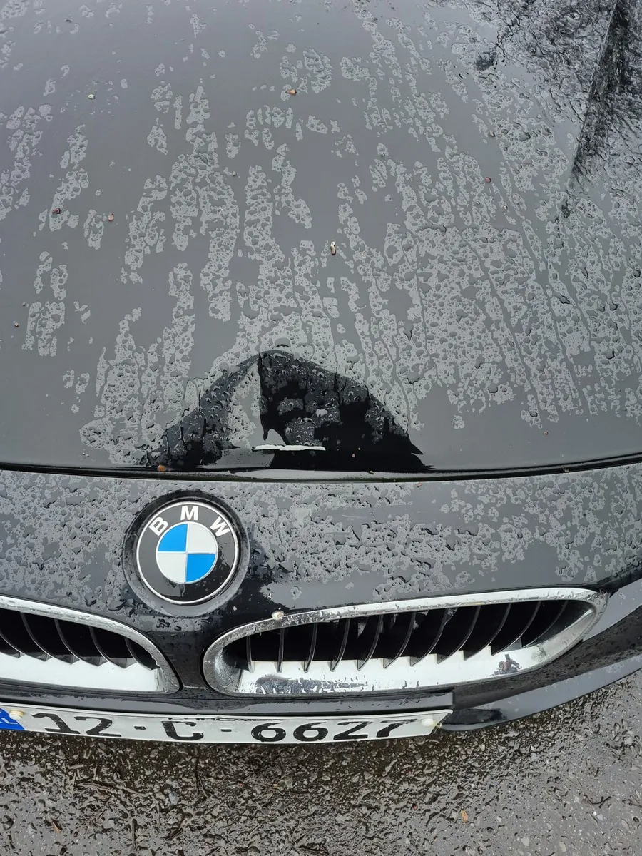 2012 BMW 318D DIESEL - Image 4