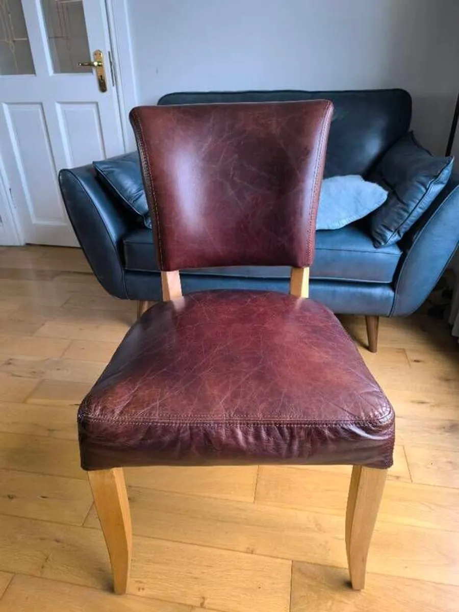 dining chair halo leather - Image 1