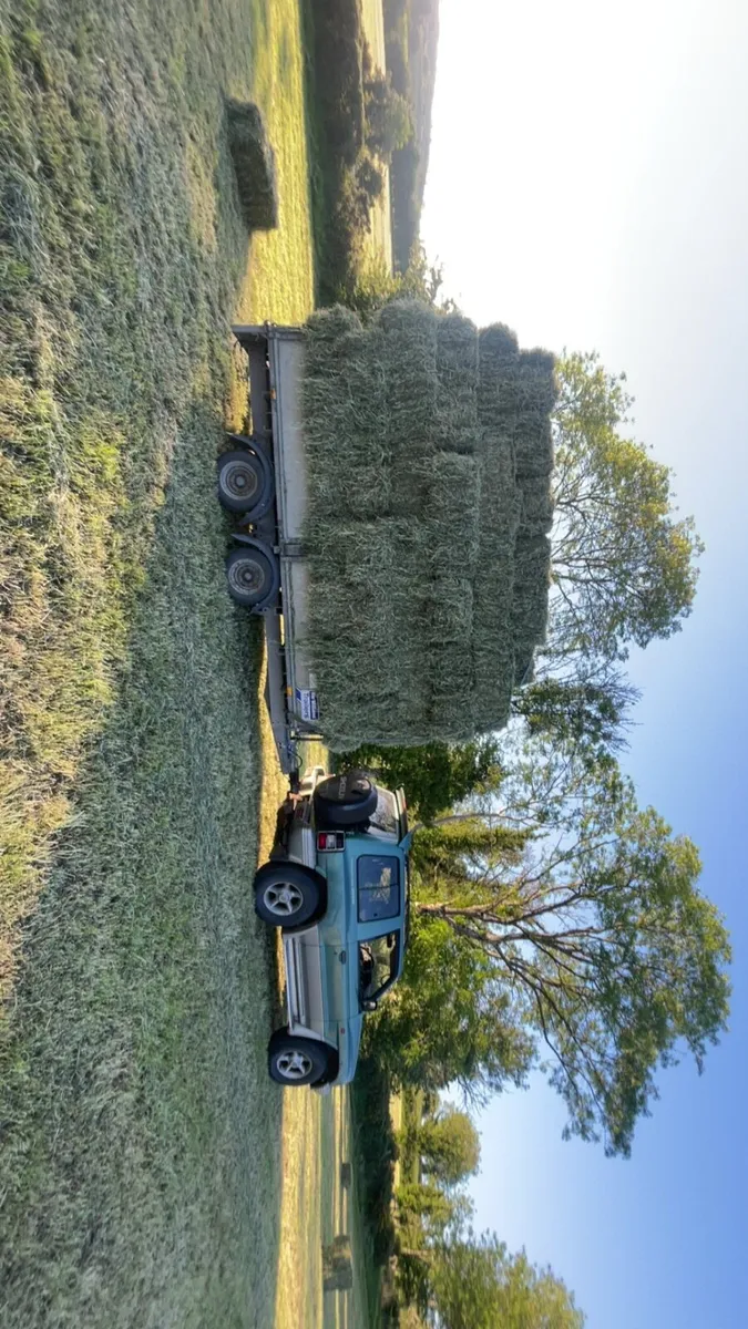 Small bales of hay - Image 2