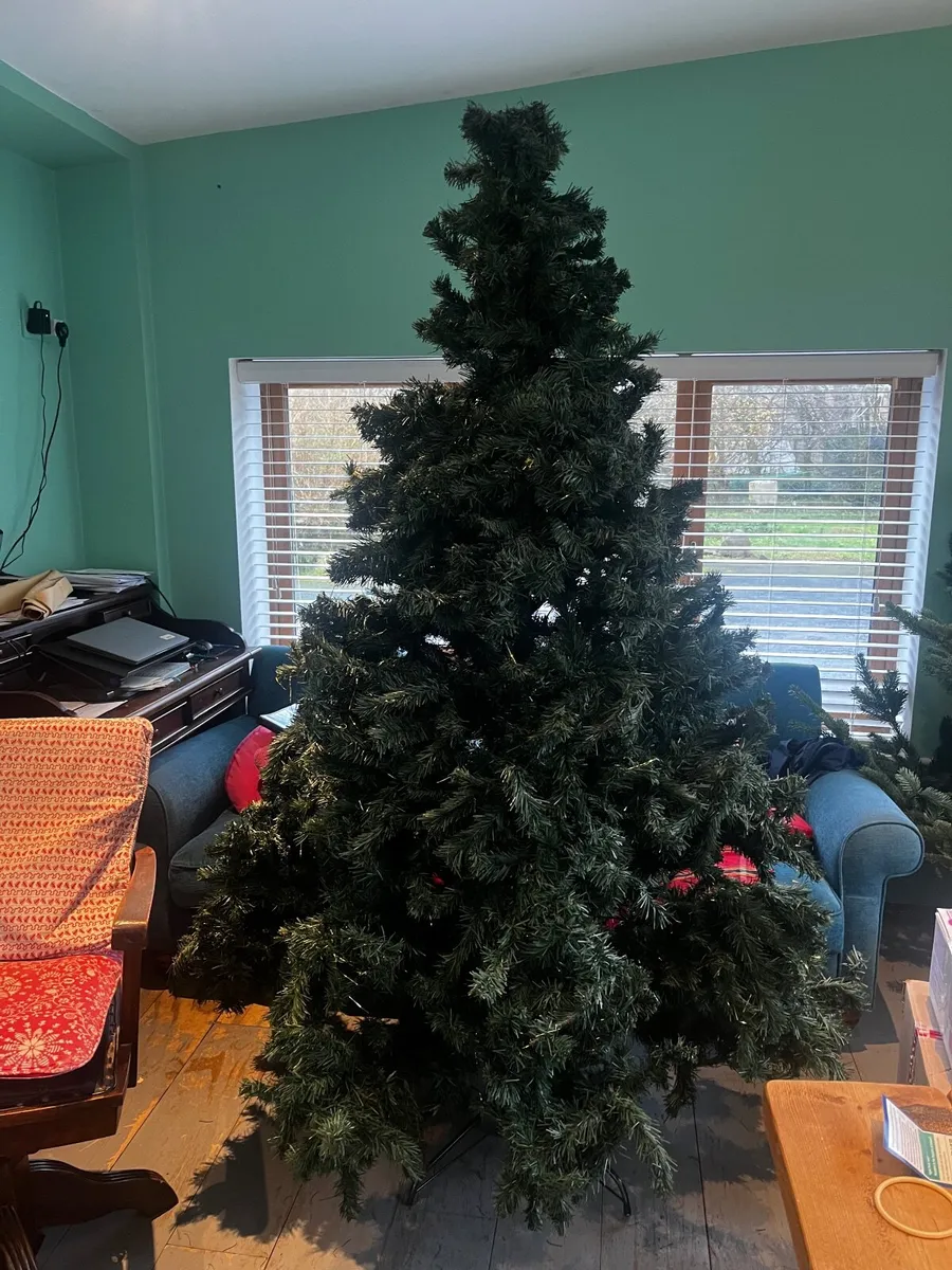 American Christmas Tree - Image 1