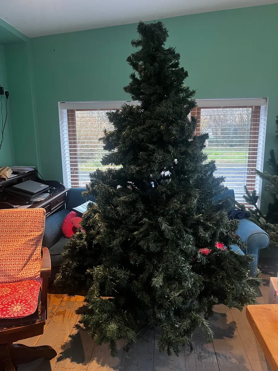 American Christmas Tree - Image 2