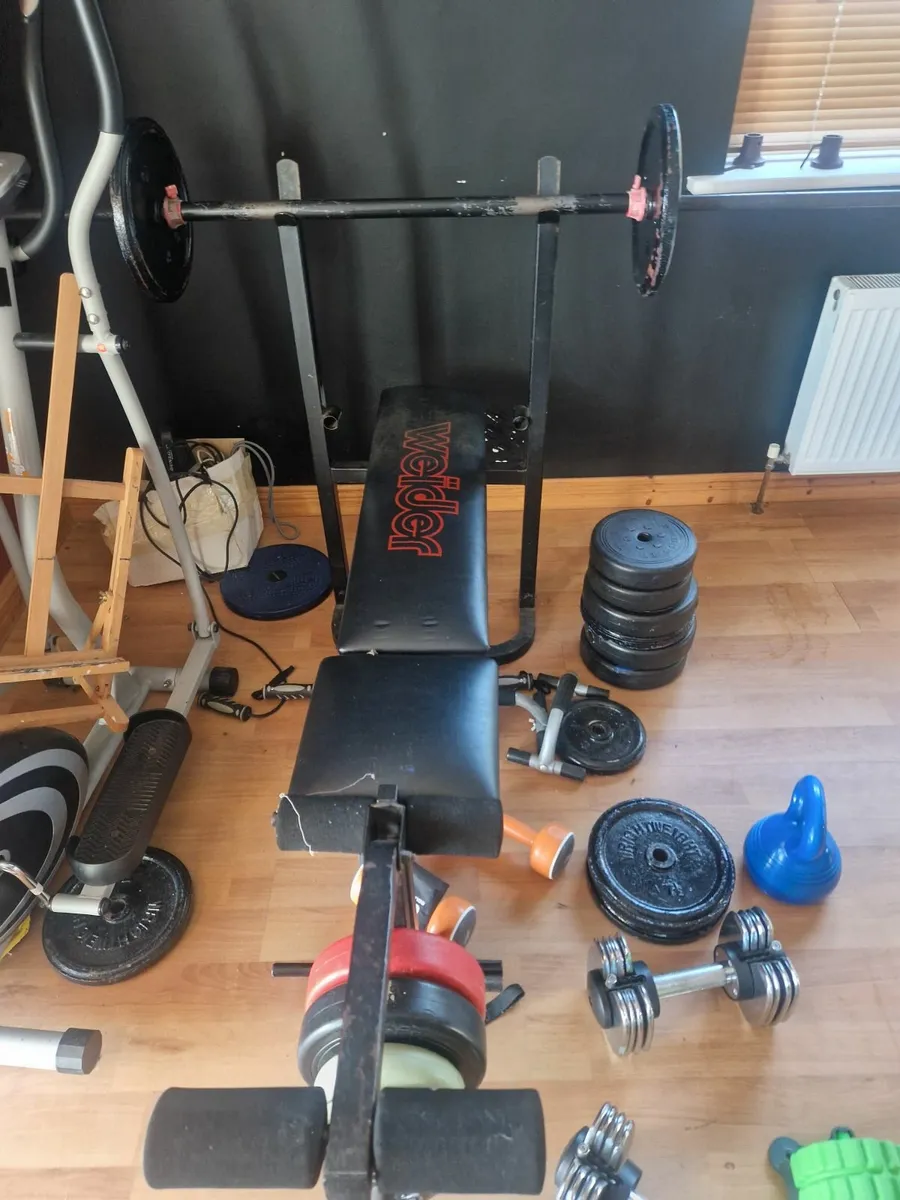 Weider weight bench and weights - Image 2