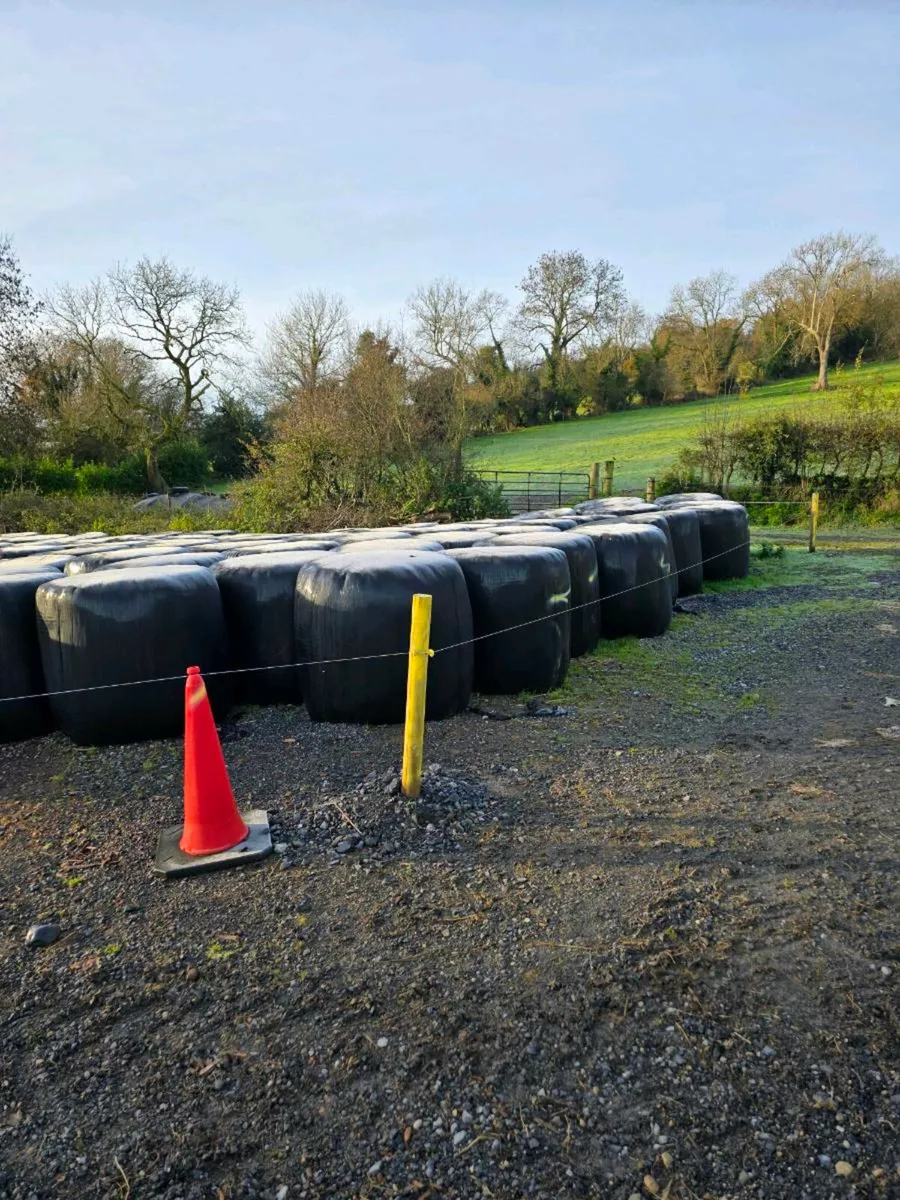 Bale Silage for Sale - Image 2