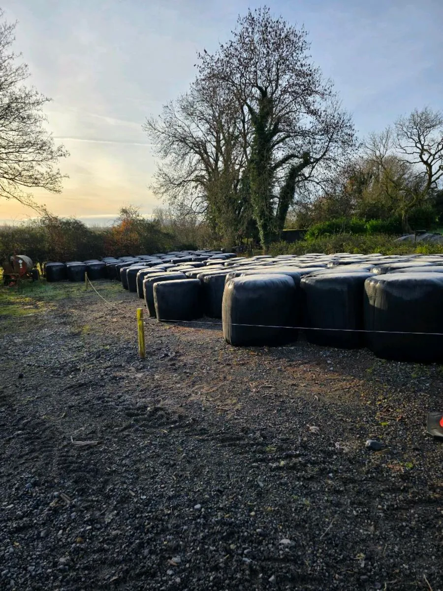 Bale Silage for Sale - Image 1