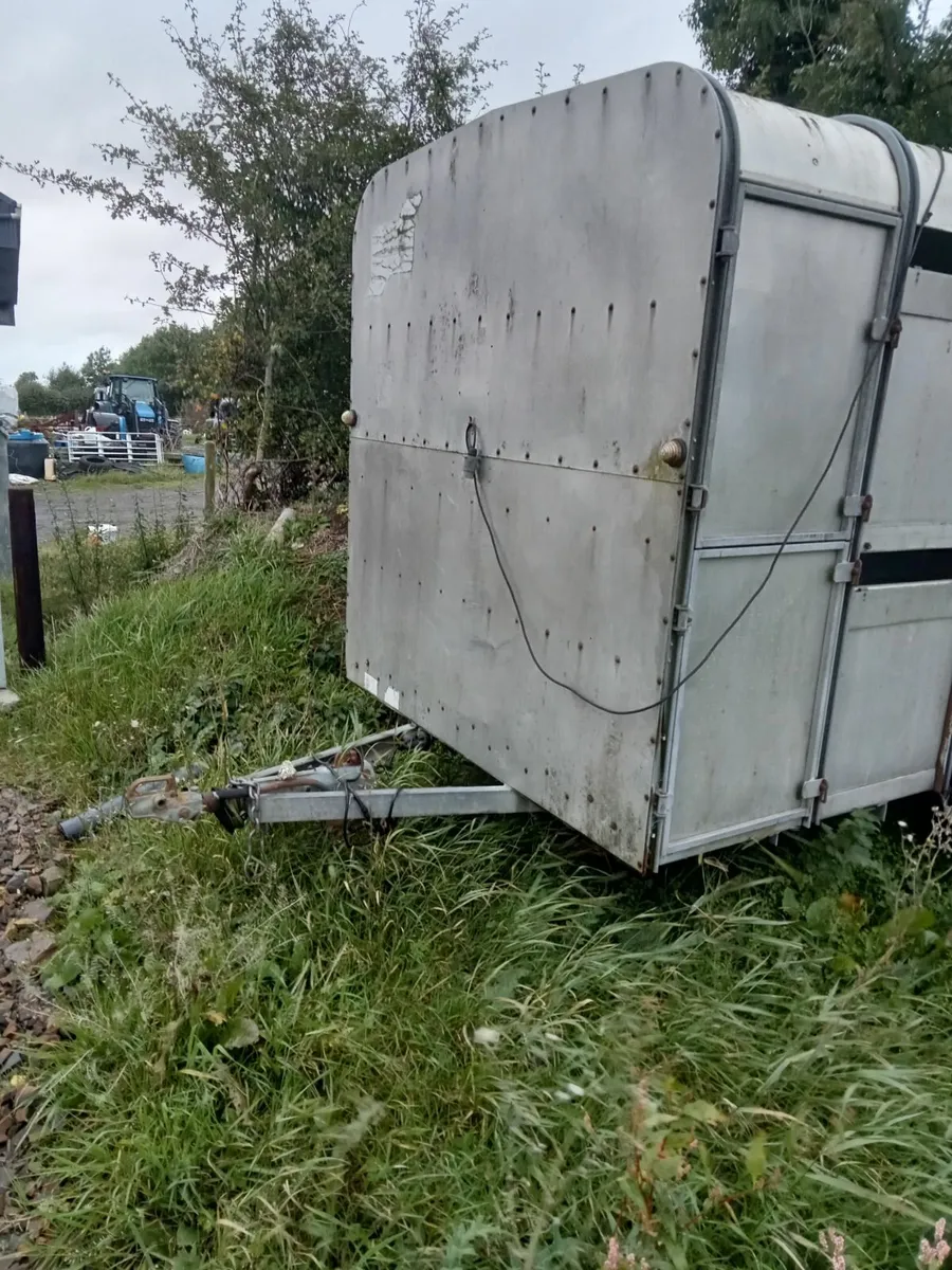 Cattle trailer - Image 2