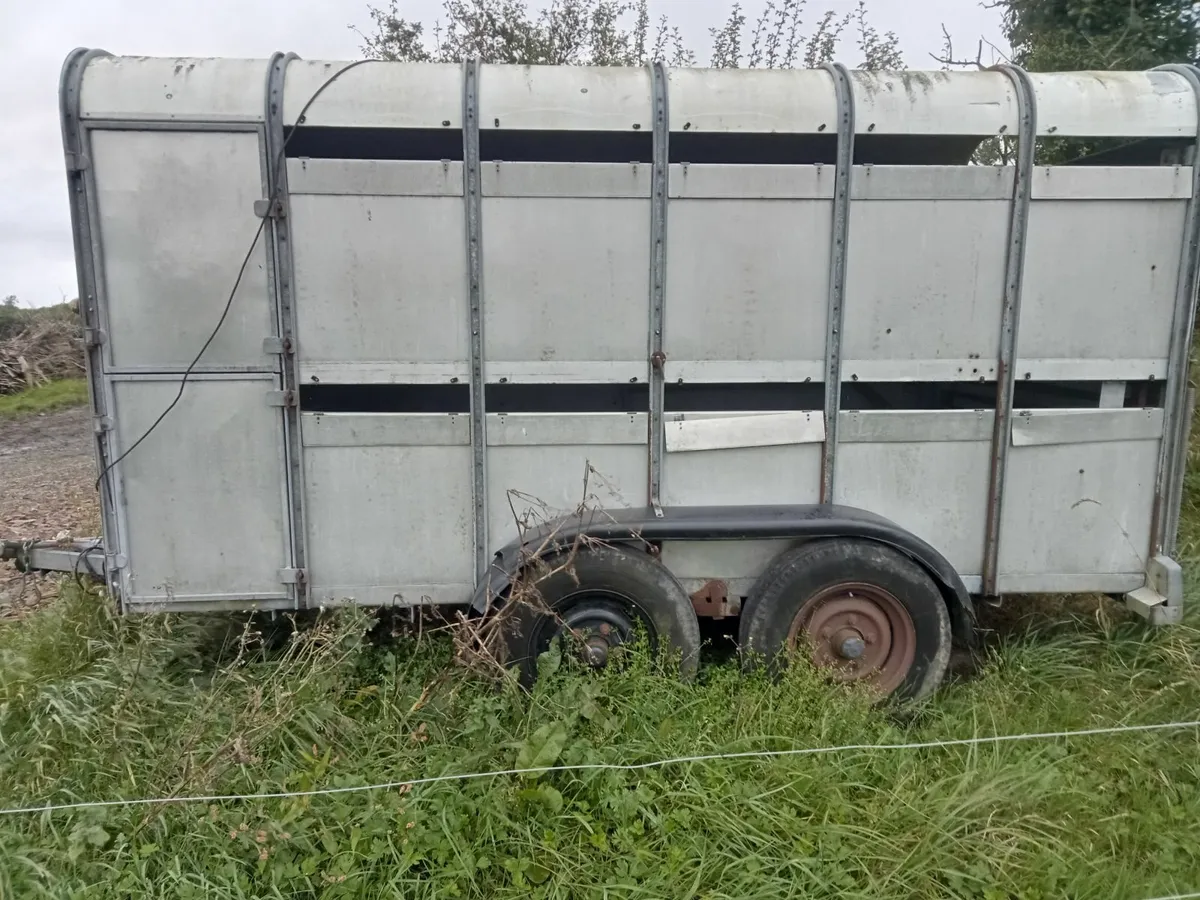 Cattle trailer - Image 3