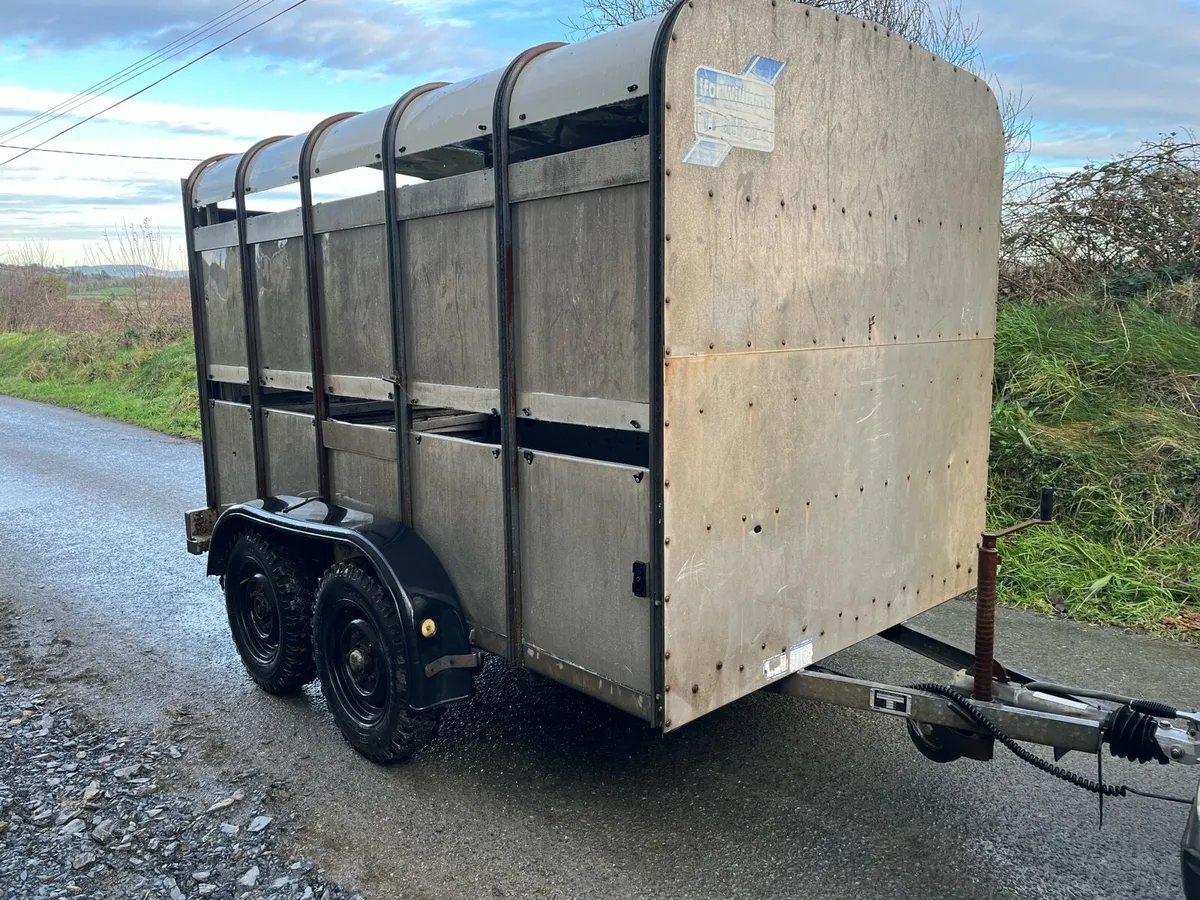 Ivor Willams cattle trailer - Image 1