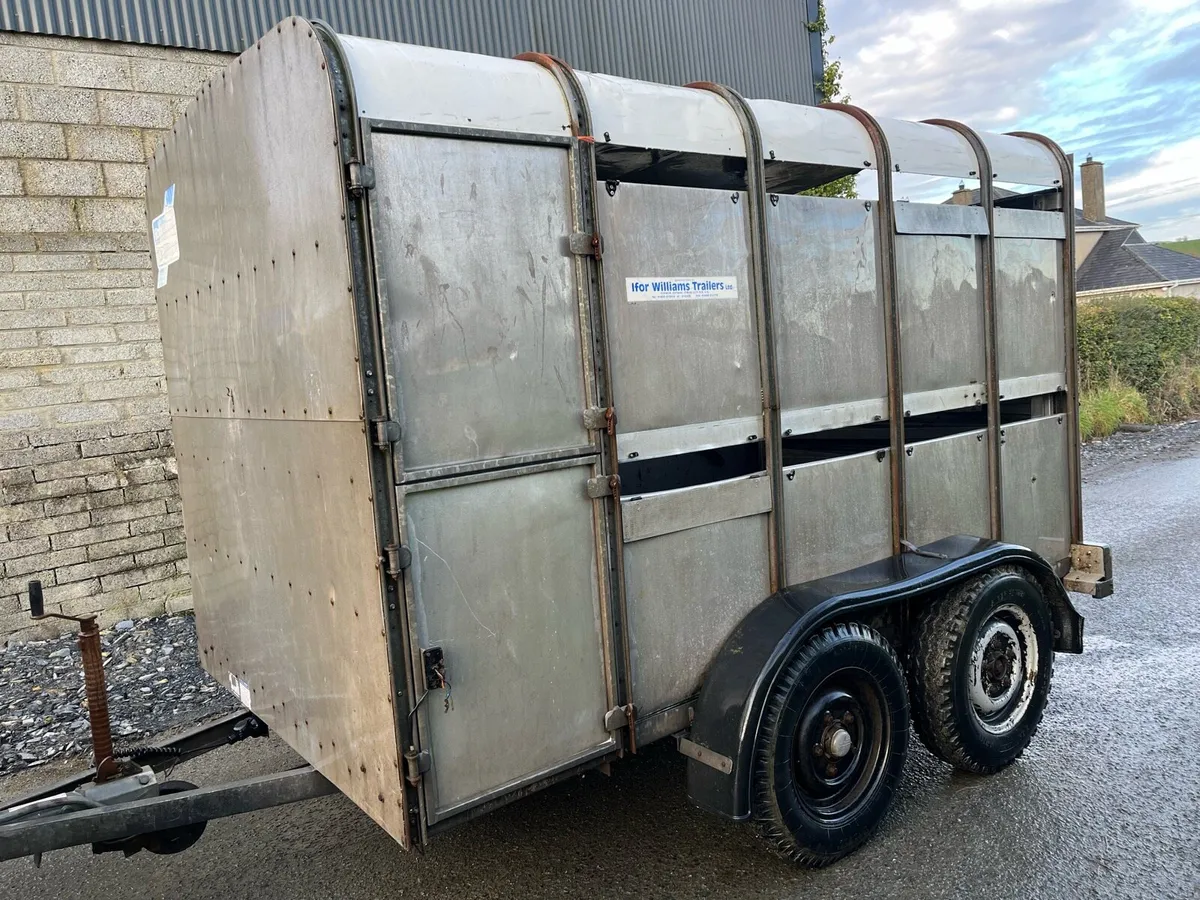 Ivor Willams cattle trailer - Image 2