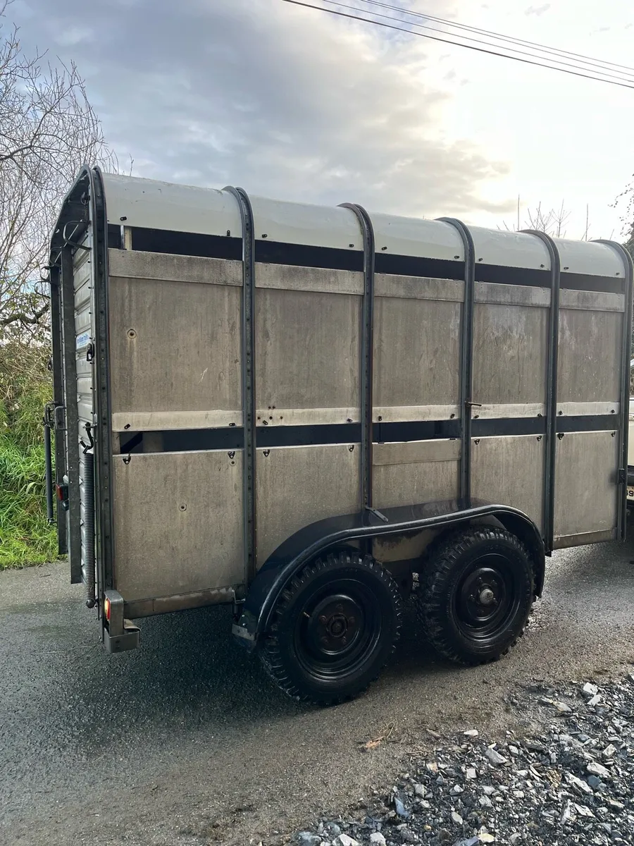 Ivor Willams cattle trailer - Image 3