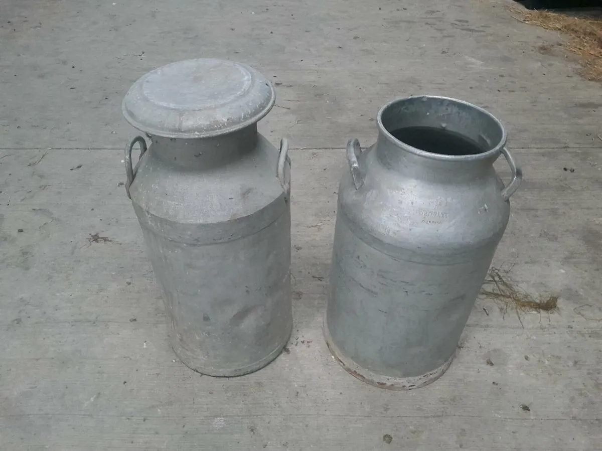 Milk cans - Image 1