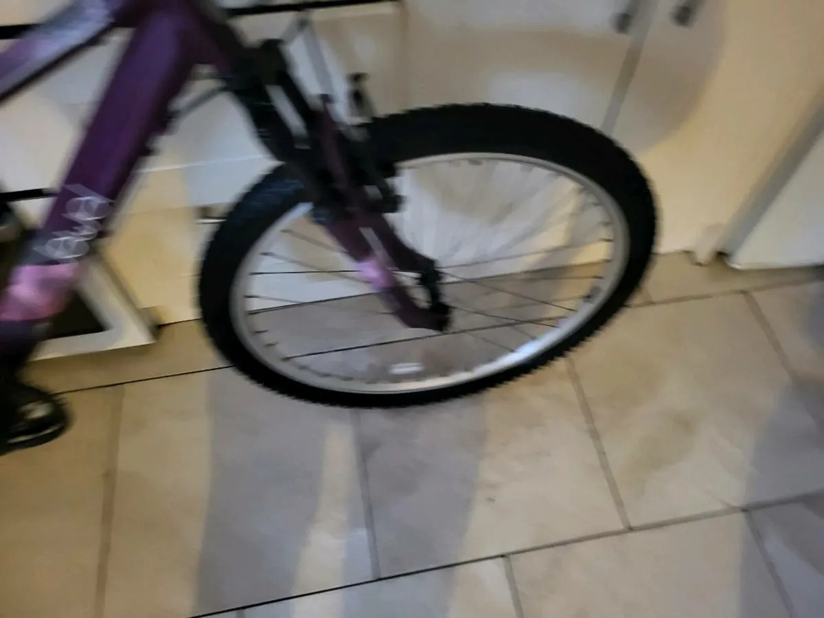 Cheap bike - Image 3